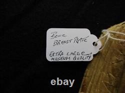 Huge Beaded Breast Plate, Native American Hair Pipe Breast Plate, Sd-042307621